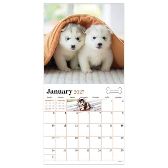 2027 Puppies Wall Calendar